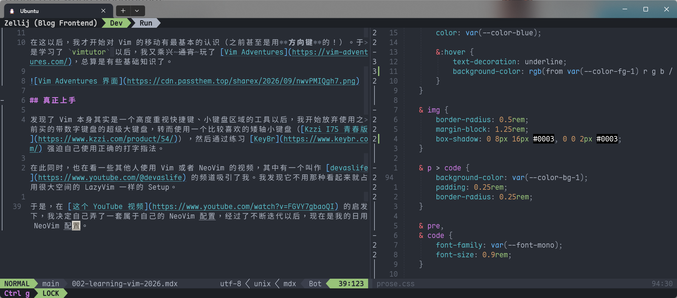 我的 NeoVim 界面